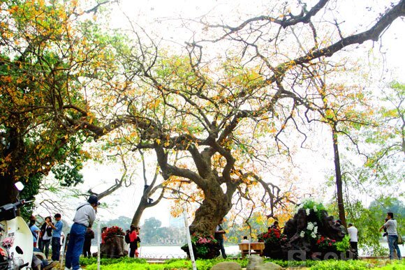 Thời tiết ngày 10/12: Bắc Bộ hửng nắng, Nam Bộ có mưa dông