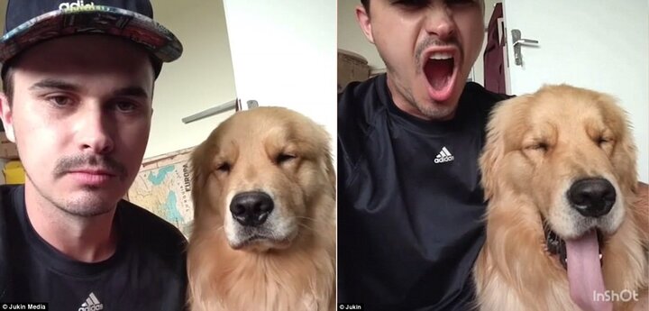 Clip: Chó cưng bắt chước biểu cảm của chủ khiến dân mạng phì cười