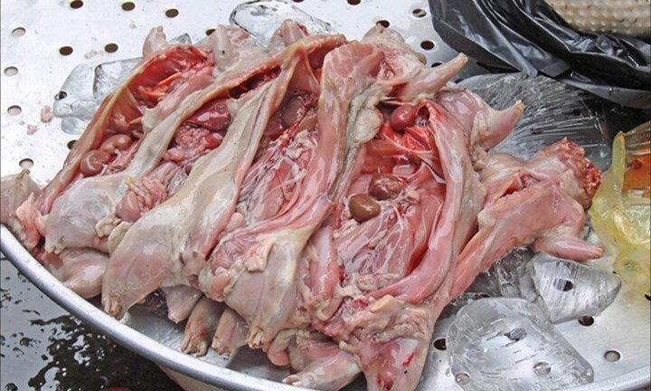 Kinh hoàng đặc sản thịt chuột làm từ chuột cống béo múp