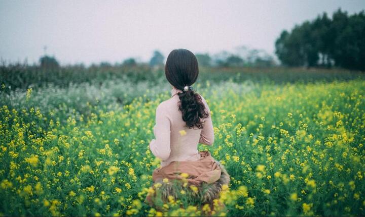 3 địa điểm chụp ảnh hoa cải vàng đầu đông được giới trẻ check in rần rần