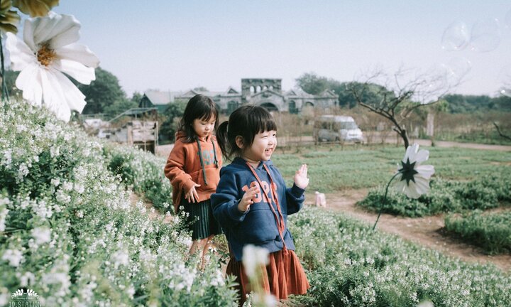 2 thiên thần nhí đáng yêu trong bộ ảnh giữa thảo nguyên hoa