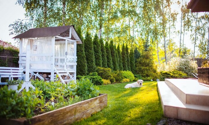 Những mẫu sân vườn đẹp như mơ, biến ngôi nhà bạn thành thiên đường trong chớp mắt