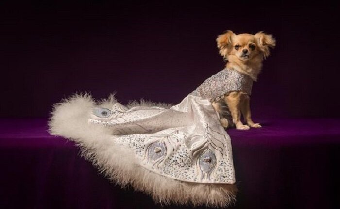 Tiết lộ những món quà Giáng sinh giới siêu giàu thường nhận được