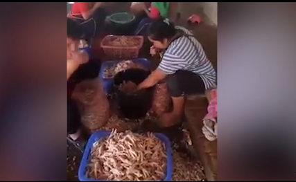Kinh hãi với công nghệ chế biến món chân gà rút xương 'vạn người mê'