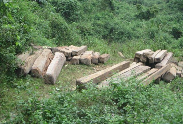 Khởi tố, bắt tạm giam 2 trạm trưởng bảo vệ rừng ở Nghệ An