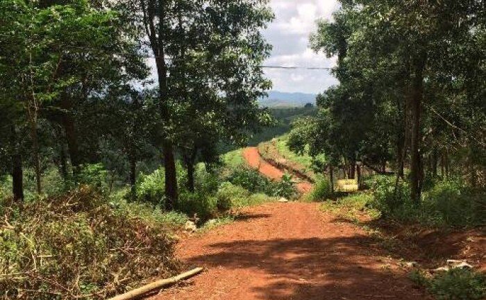 Kỷ luật cảnh cáo nguyên Giám đốc Sở Kế hoạch và Đầu tư tỉnh Đắk Nông