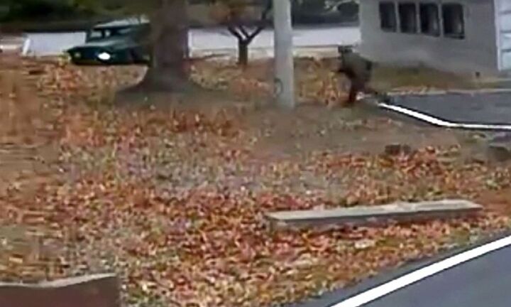 Món quà không tưởng của binh sỹ Triều Tiên đào tẩu sau khi hồi phục