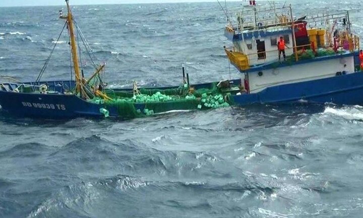 Gửi văn bản khẩn cấp đề nghị Malaysia cho ngư dân Bình Định tránh bão số 15