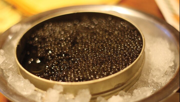 Cận cảnh quá trình sản xuất trứng cá caviar đắt đỏ, giá ngàn 'đô'