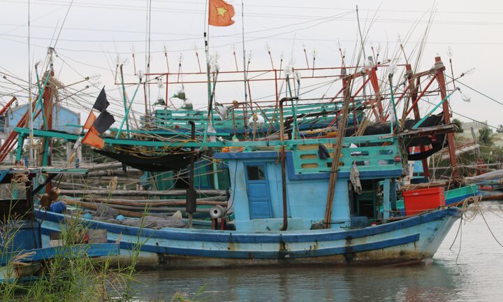 Bão số 16 đổ bộ ngày 25/12: Bạc Liêu quyết liệt di dân, không để thiệt hại về người