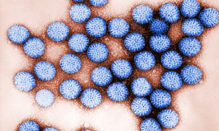 Cảnh báo virus gây tiêu chảy cấp đang lan rộng, gây nguy hiểm cho bé