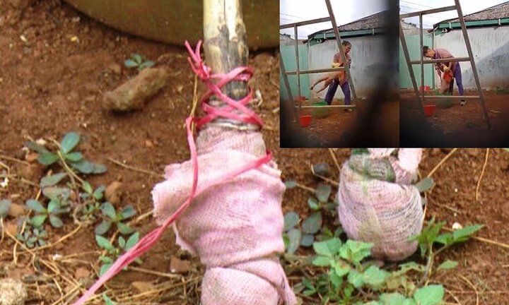 Bảo mẫu bạo hành dã man bé trai 2 tuổi: Huyện Đắk R’Lấp vào cuộc làm rõ