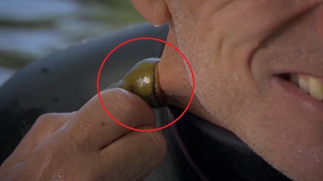 Rùng rợn clip lấy thân mình làm mồi cho thủy quái 'ma cà rồng' hút máu