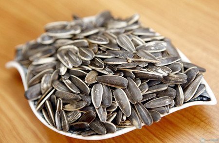 Hướng dương Trung Quốc béo mẫm, căng tròn tung hoành khắp Việt Nam cận Tết