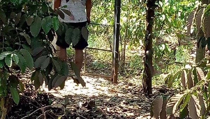 Vợ nằm chết trong nhà, chồng cũ treo cổ chết ngoài vườn