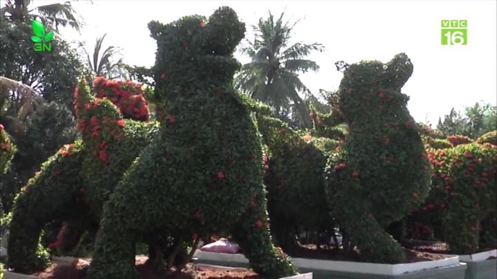 Cây kiểng hình thú 'siêu độc', giá cả trăm triệu đồng của nghệ nhân Tiền Giang