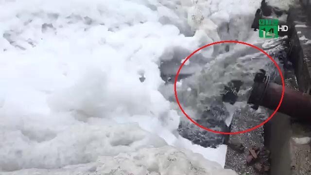 Clip: Cận cảnh trạm bơm xả nước đen ngòm vào dòng sông 'tuyết' ở Hà Nam