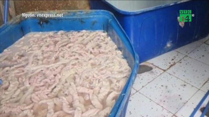 TP.HCM: Kinh hãi phát hiện 2 tấn lòng lợn bị tẩy trắng bằng nước ô xy già