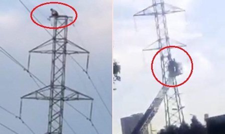 Clip: Dùng xe thang giải cứu 'ngáo đá' leo cột điện ở TP.HCM