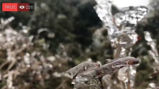 Trực tiếp: Băng phủ kín đỉnh đèo Ô Quý Hồ, Sa Pa, Lào Cai