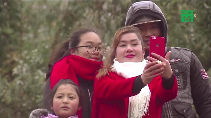 Du khách thích thú ngắm cây cỏ Sa Pa đông cứng trong băng tuyết