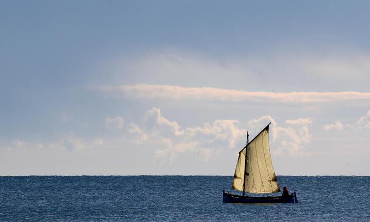 Nguy cơ đáng sợ khi biển đang mất dần oxy