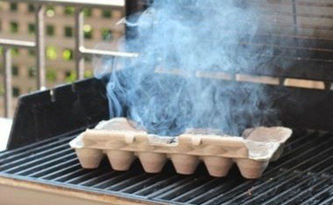 Mẹo đuổi sạch muỗi cực hiệu quả bằng khay các tông đựng trứng