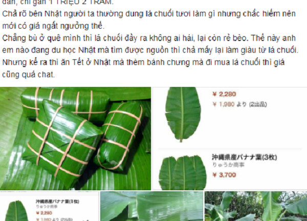 Lá chuối Việt Nam được rao bán tại Nhật giá 500.000 đồng/chiếc