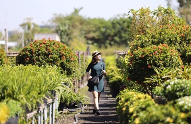 Giới trẻ rần rần check in vườn hoa Sa Đéc vạn người mê ở Đồng Tháp