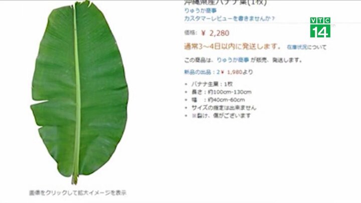 Vì sao người Việt ở Nhật phải mua lá chuối với giá 500.000 đồng/lá?
