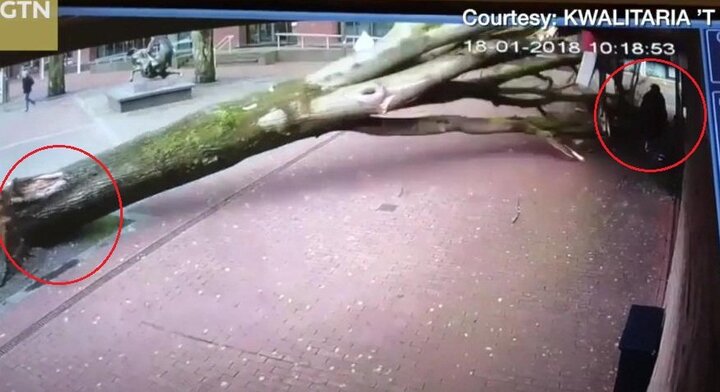 Clip: Cây to bật gốc suýt đè chết 2 mẹ con trên vỉa hè