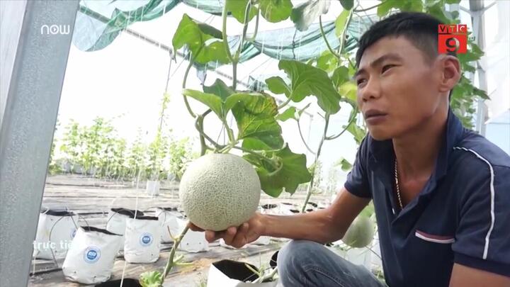 Anh thợ sửa xe từ tay trắng thành tỷ phú nhờ vườn dưa lưới bạc tỷ