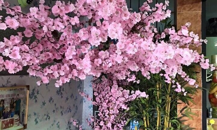 Ngưỡng mộ đôi vợ chồng ở Sài Gòn tự làm hoa đào giấy đẹp như thật đón Tết