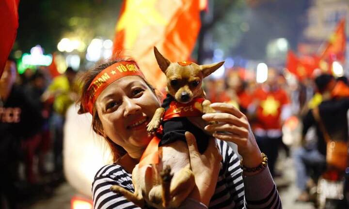 Thú cưng mặc áo cờ 'đi bão' ăn mừng chiến thắng U23 Việt Nam