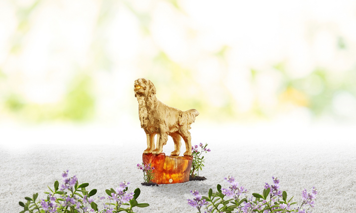 Đón năm Mậu Tuất lộc phát với bộ sưu tập Linh Khuyển của RISIS