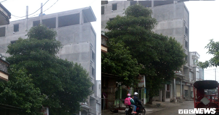 Lập phương án phá dỡ nhà 7 tầng vi phạm ở Quảng Ninh