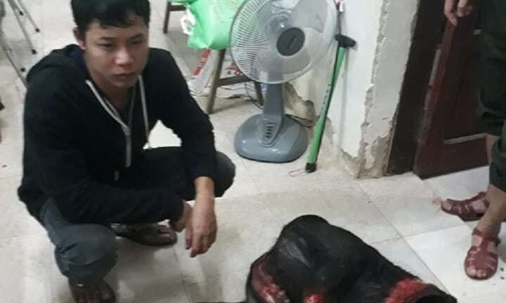 Bắt 2 kẻ ngang nhiên làm thịt sơn dương trong rừng Phong Nha - Kẻ Bàng