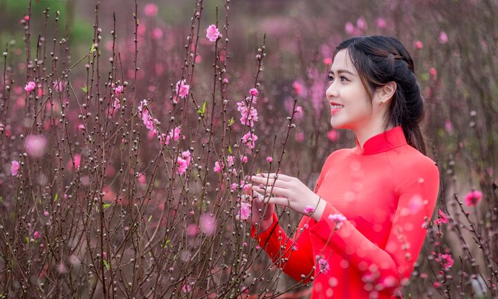 Hot girl Đại học Kiểm sát Hà Nội khoe sắc thắm bên hoa đào ngày Xuân