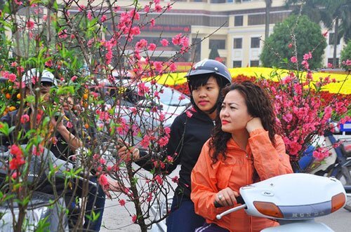 Dự báo thời tiết Tết Nguyên đán 2018: Miền Bắc, Miền Trung không quá rét