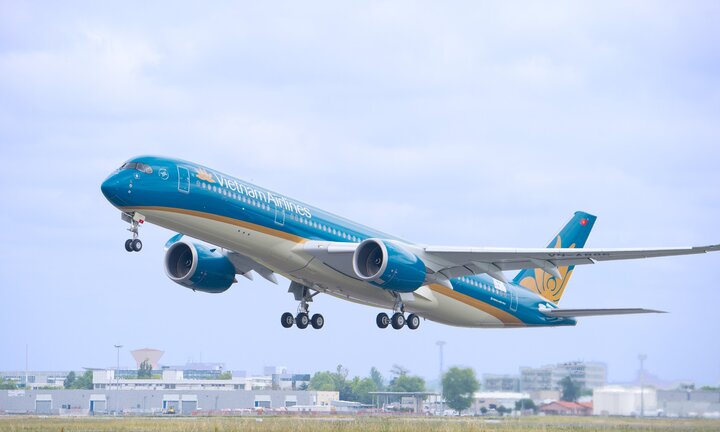 Vietnam Airlines vận chuyển cành đào, cành mai dịp Tết Mậu Tuất 2018