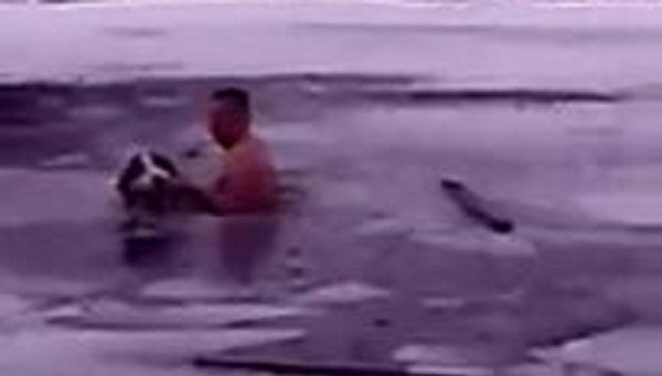 Clip: Người đàn ông lao xuống hồ băng cứu chú chó mắc kẹt