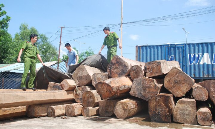 Khai trừ Đảng 2 cán bộ kiểm lâm ở Đắk Lắk