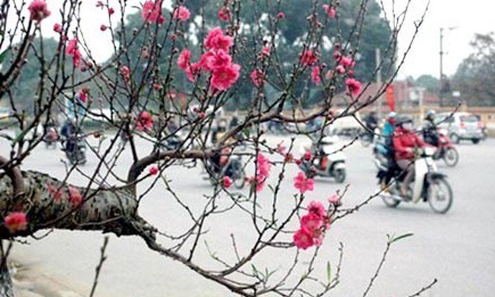 Thông tin mới nhất thời tiết Tết Nguyên đán Mậu Tuất 2018