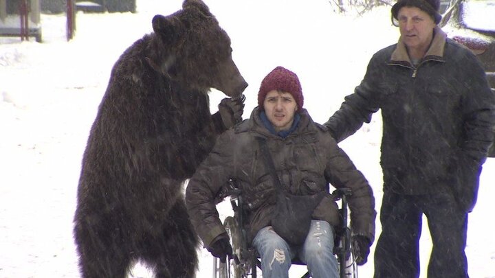 Video: Xúc động cảnh gấu đẩy xe lăn cho thầy sau tai nạn
