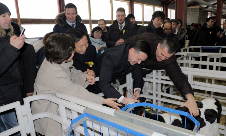 Cùng ngắm bé bê Gmilk - biểu tượng lịch sử cho dòng sữa Việt ở Nga