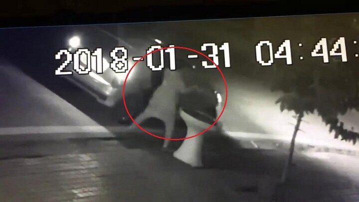 Clip: Phụ nữ đi ô tô trộm hoa của nhà dân lúc rạng sáng