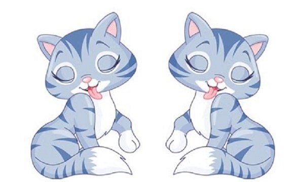 Xem giờ xuất hành người tuổi Mão năm Mậu Tuất 2018