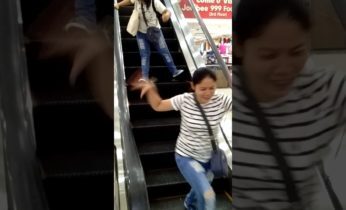 Clip: Chuột khổng lồ nhảy chồm chồm dọa người trong siêu thị