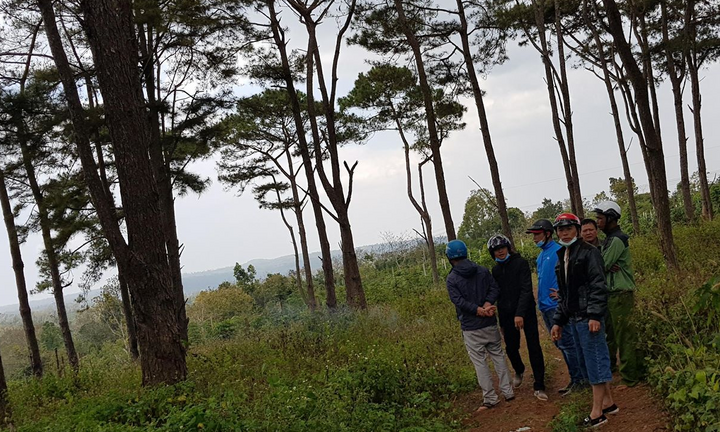 Người đàn ông gục chết bên xe gắn máy tại rừng thông