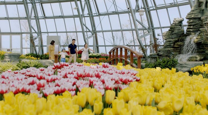 Đạo diễn Bone Hồ 'tái xuất' với MV Tết quay Miu Lê đẹp như thiên thần